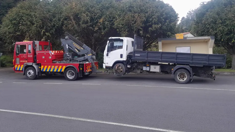 Reboque para canters – foto 2